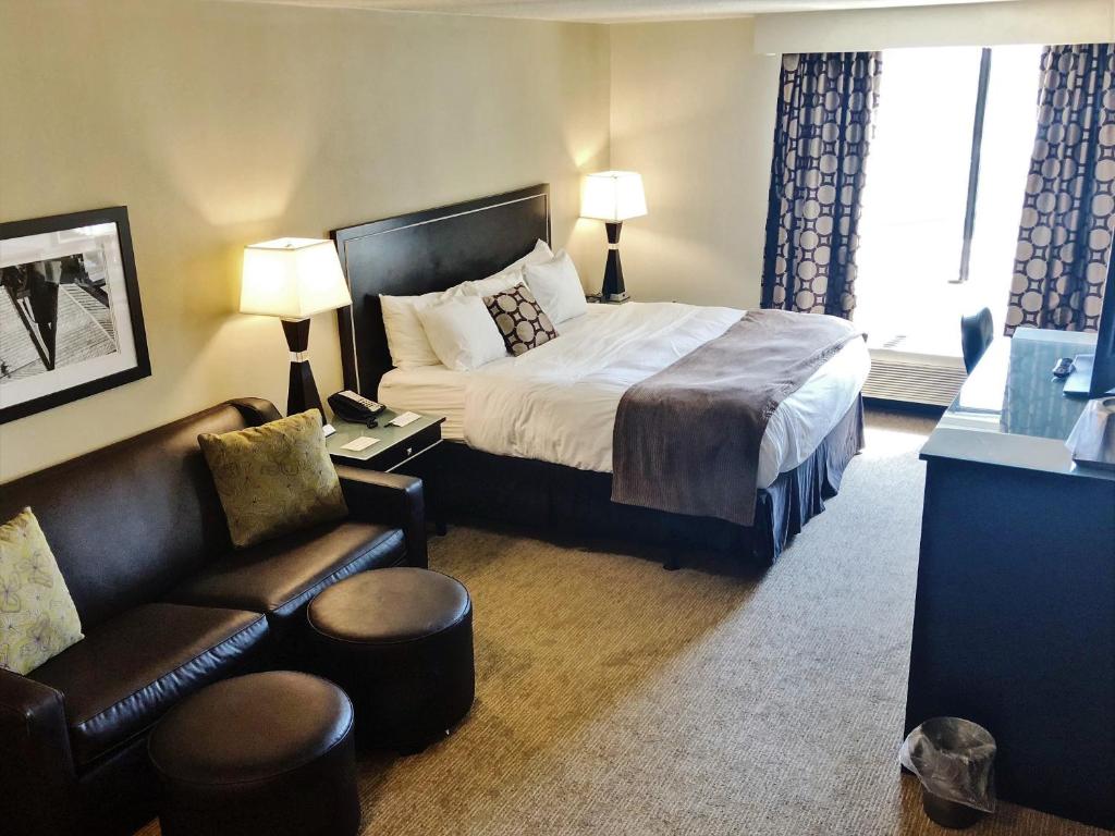 Suite, King Bed