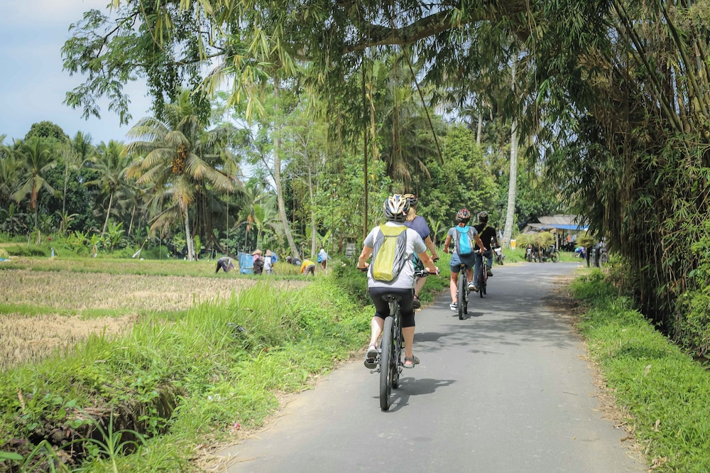 ALAM INDAH 38/50