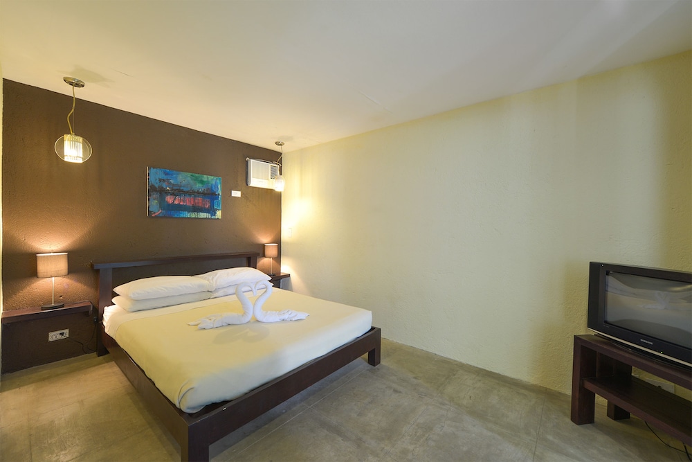 The Lazy Dog Bed And Breakfast 23/60