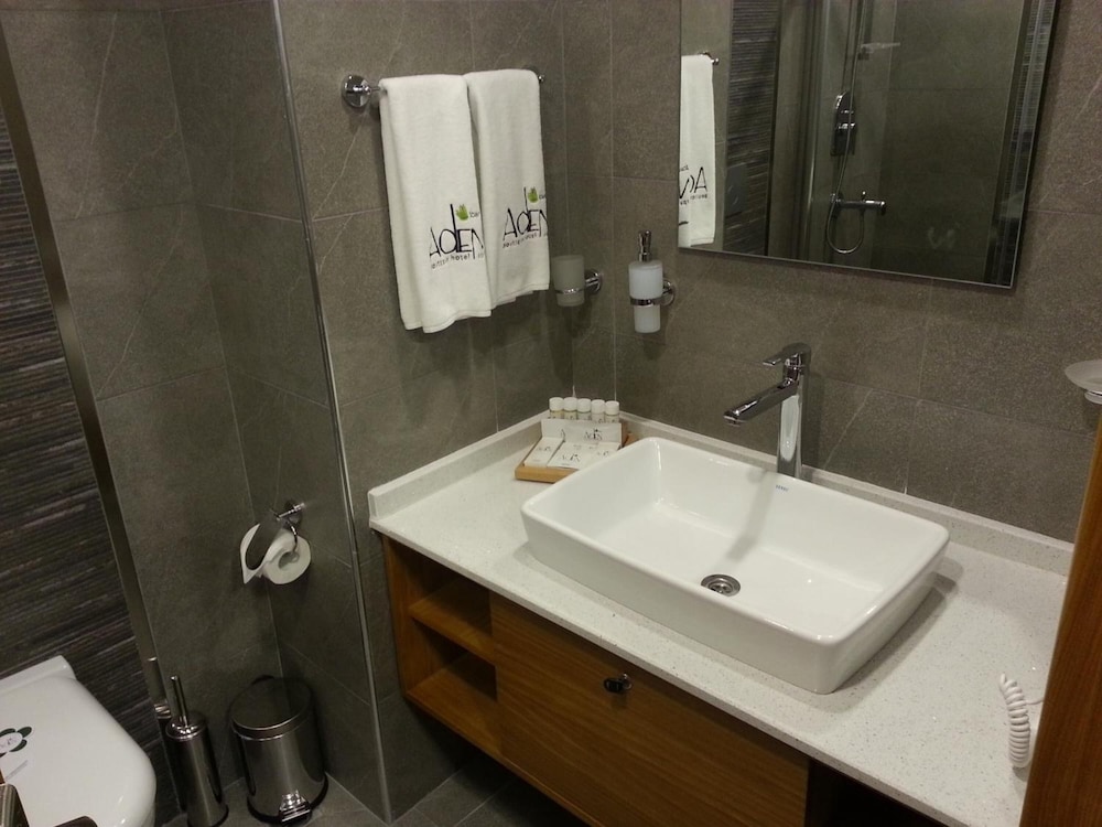 Abant Aden Boutique Hotel & Spa 38/46