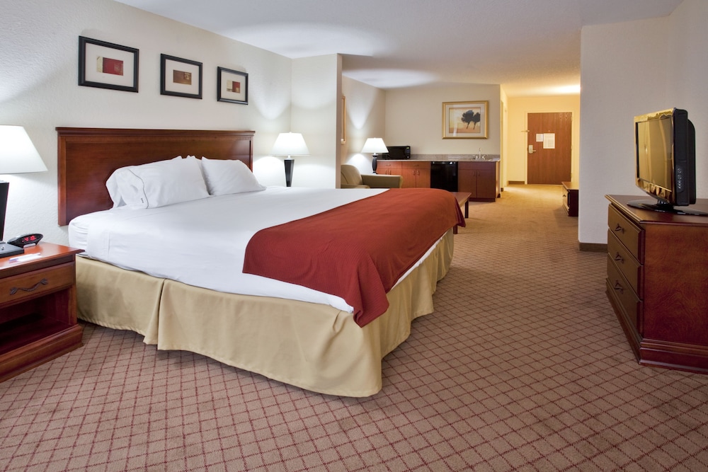 Holiday Inn Express and Suites St. Petersburg North (I-275), an IHG Hotel 22/58