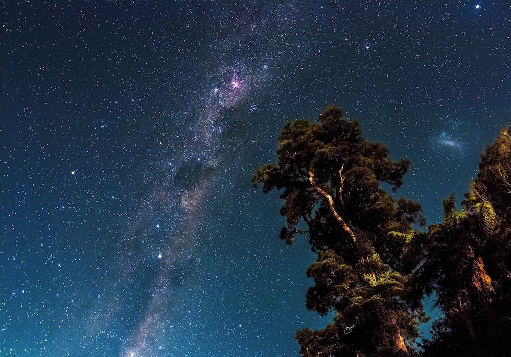 Lake Moeraki Wilderness Lodge 32/39
