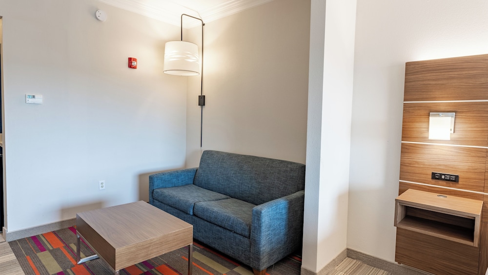 Holiday Inn Express Hotel And Suites Macon West 38/63