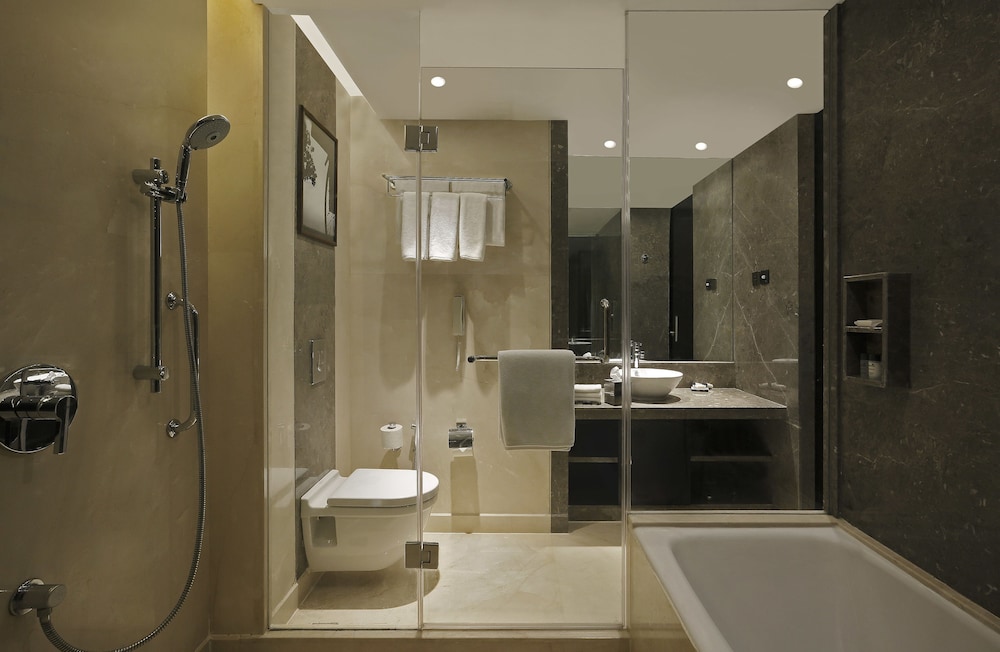Crowne Plaza Pune City Centre 16/74