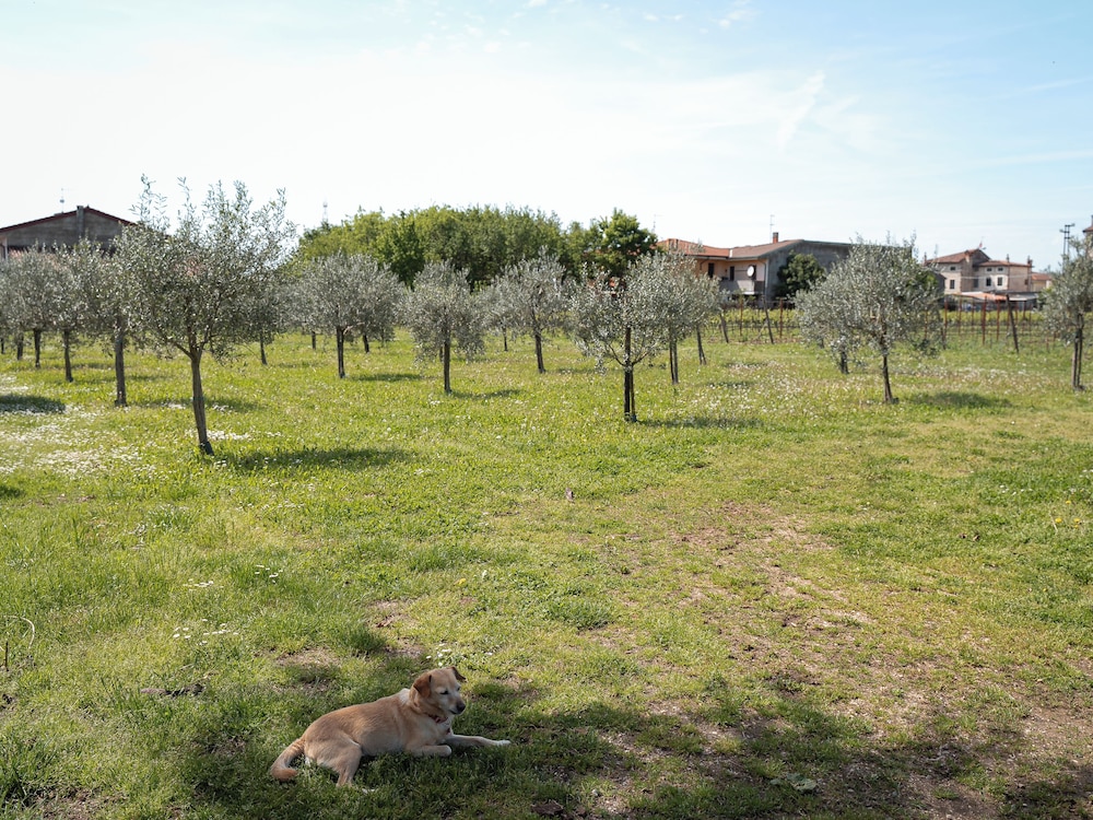Villa Bongiovanni 20/44