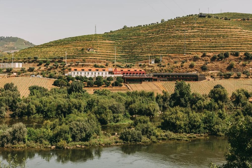 Torel Quinta da Vacaria Douro Valley 55/64
