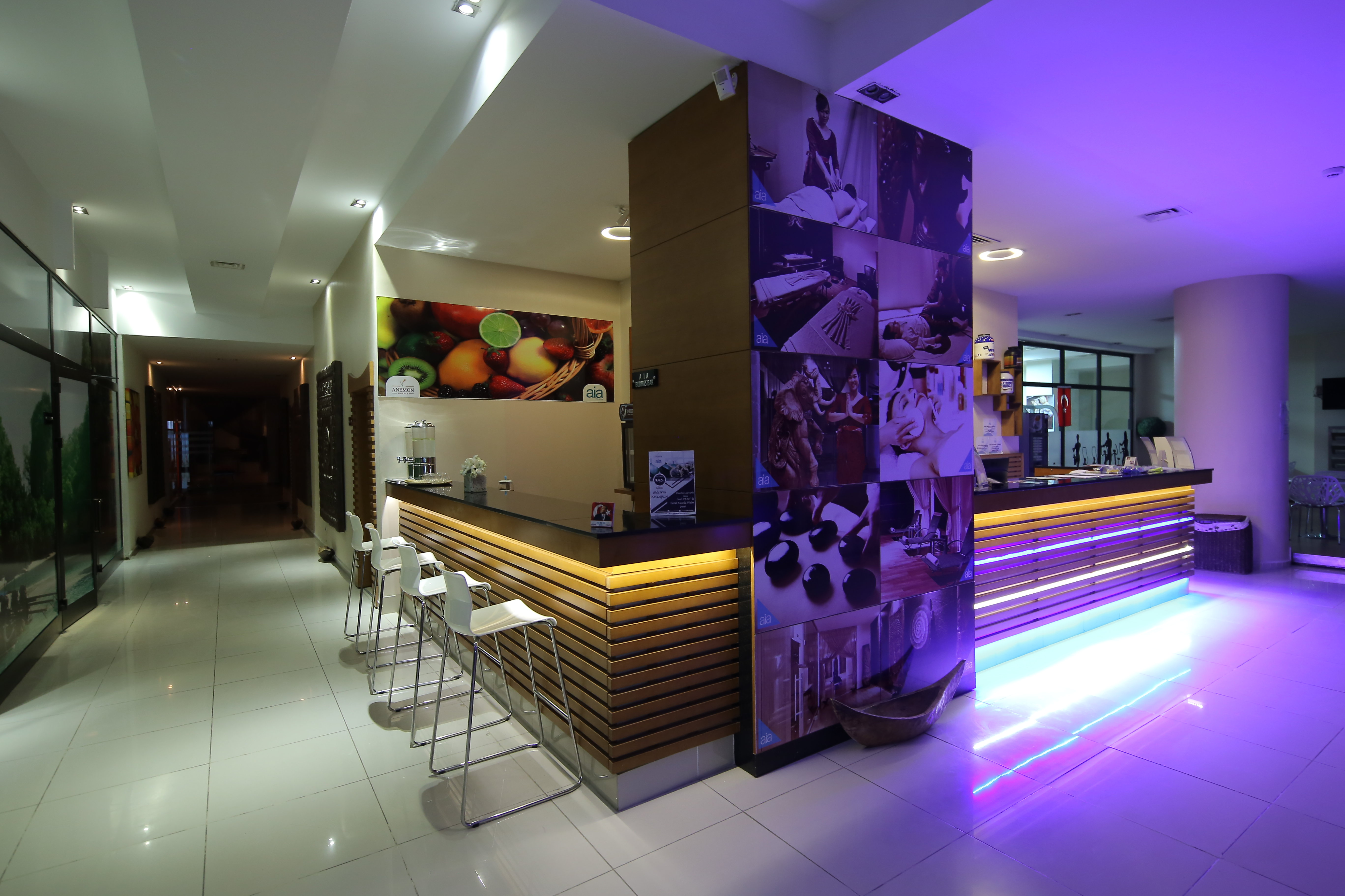 Hotel Anemon Eskisehir 8/54