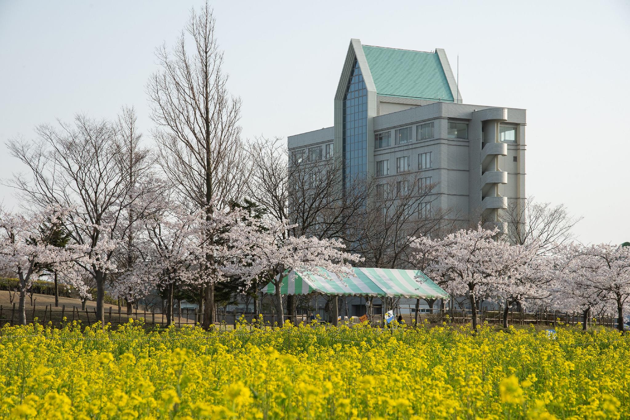 Hotel Sun Rural Ogata 28/30