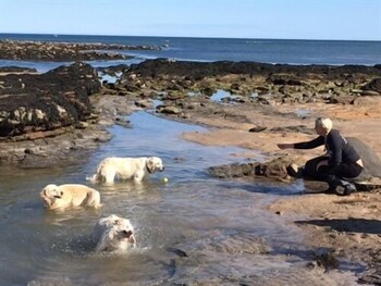 The Inn At Kingsbarns 28/51
