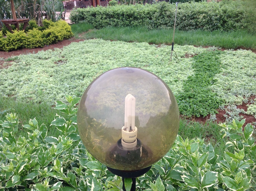 AA Lodge Amboseli 43/50