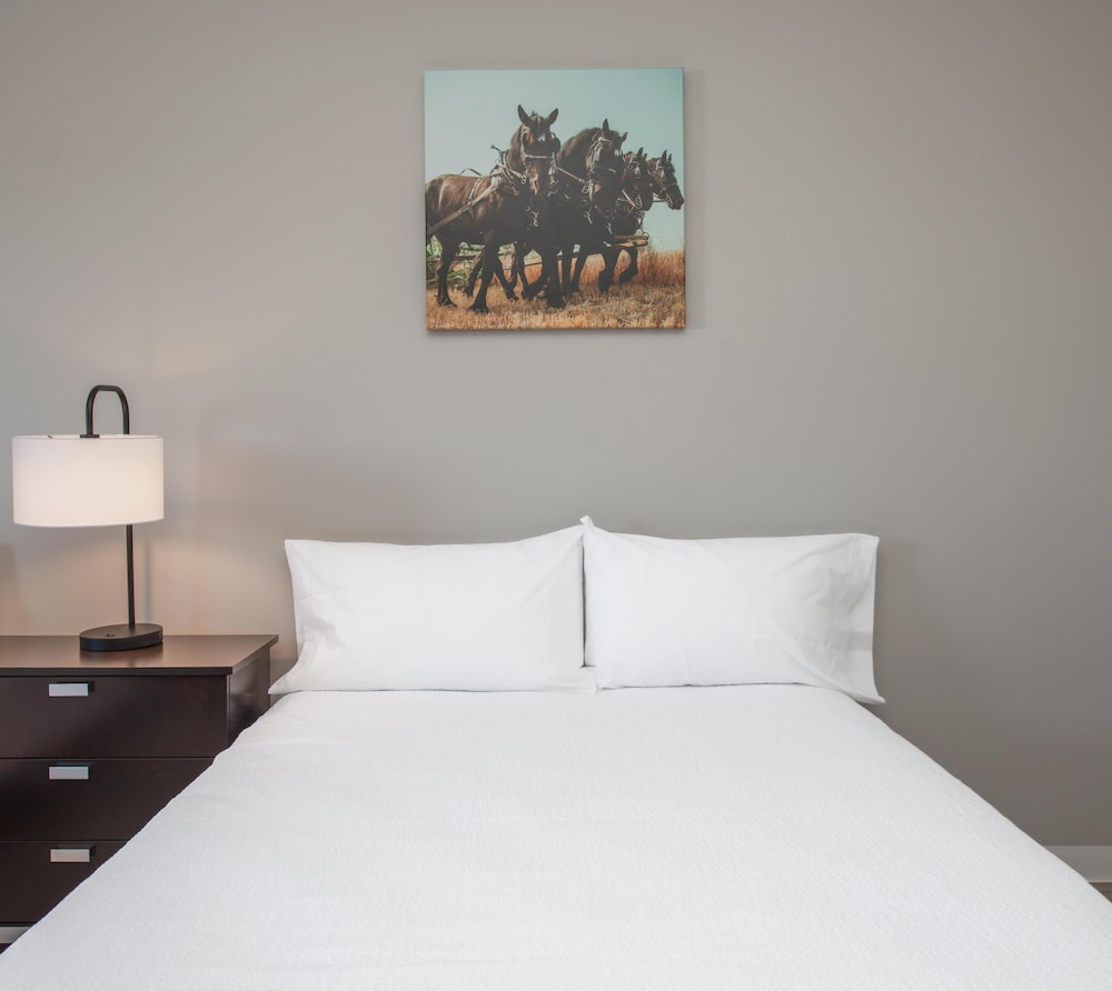 Travel Inn Suites Innisfail 22/46