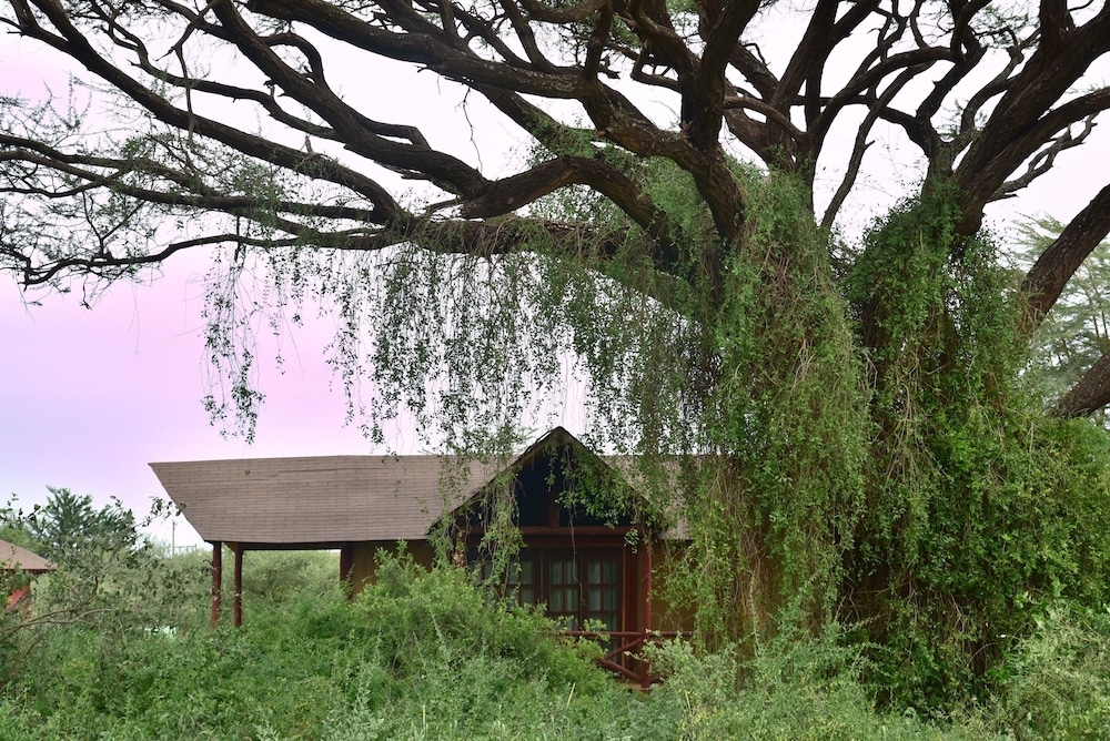 Kilima Safari Camp 42/49