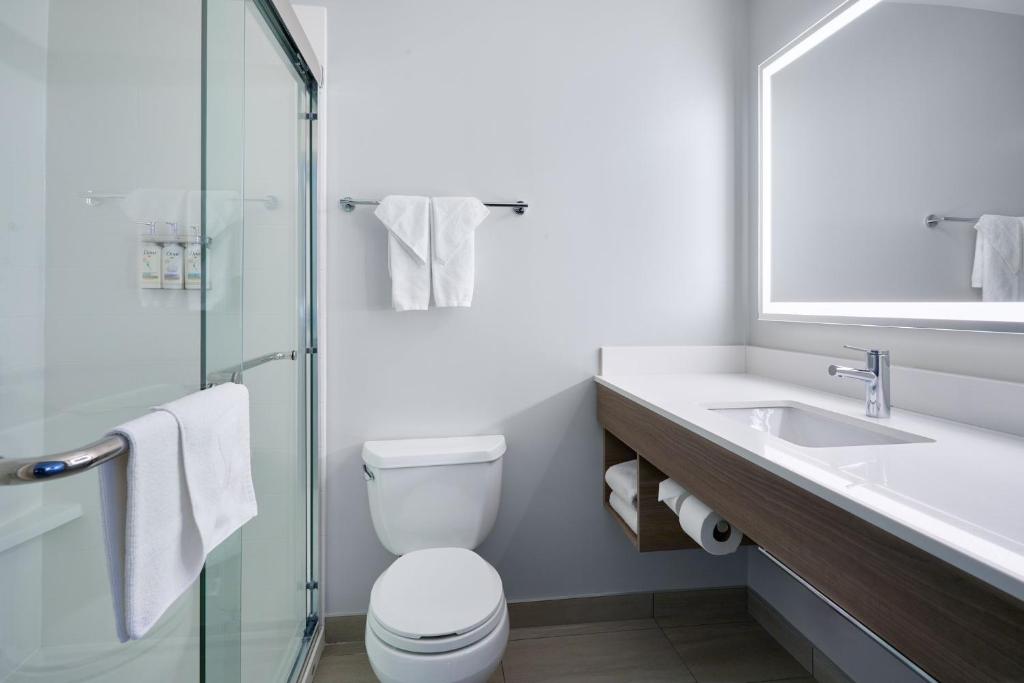 Standard, King Bed, Holiday Inn Express Hotel Suites Swift Current 3/3