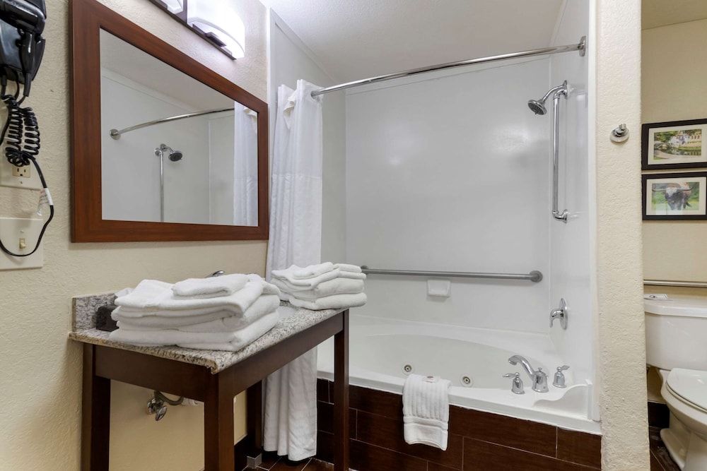 Comfort Inn & Suites Near Six Flags & Medical Center 18/36