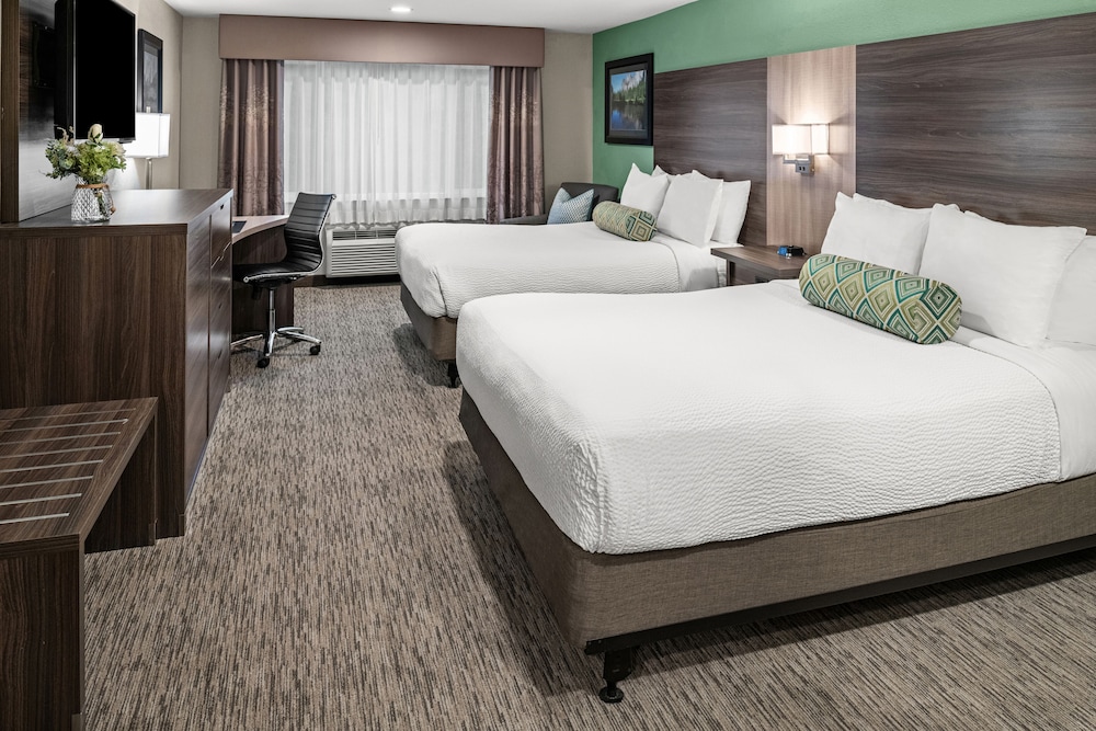 Room, Single, 2 Queen Beds, Accessible