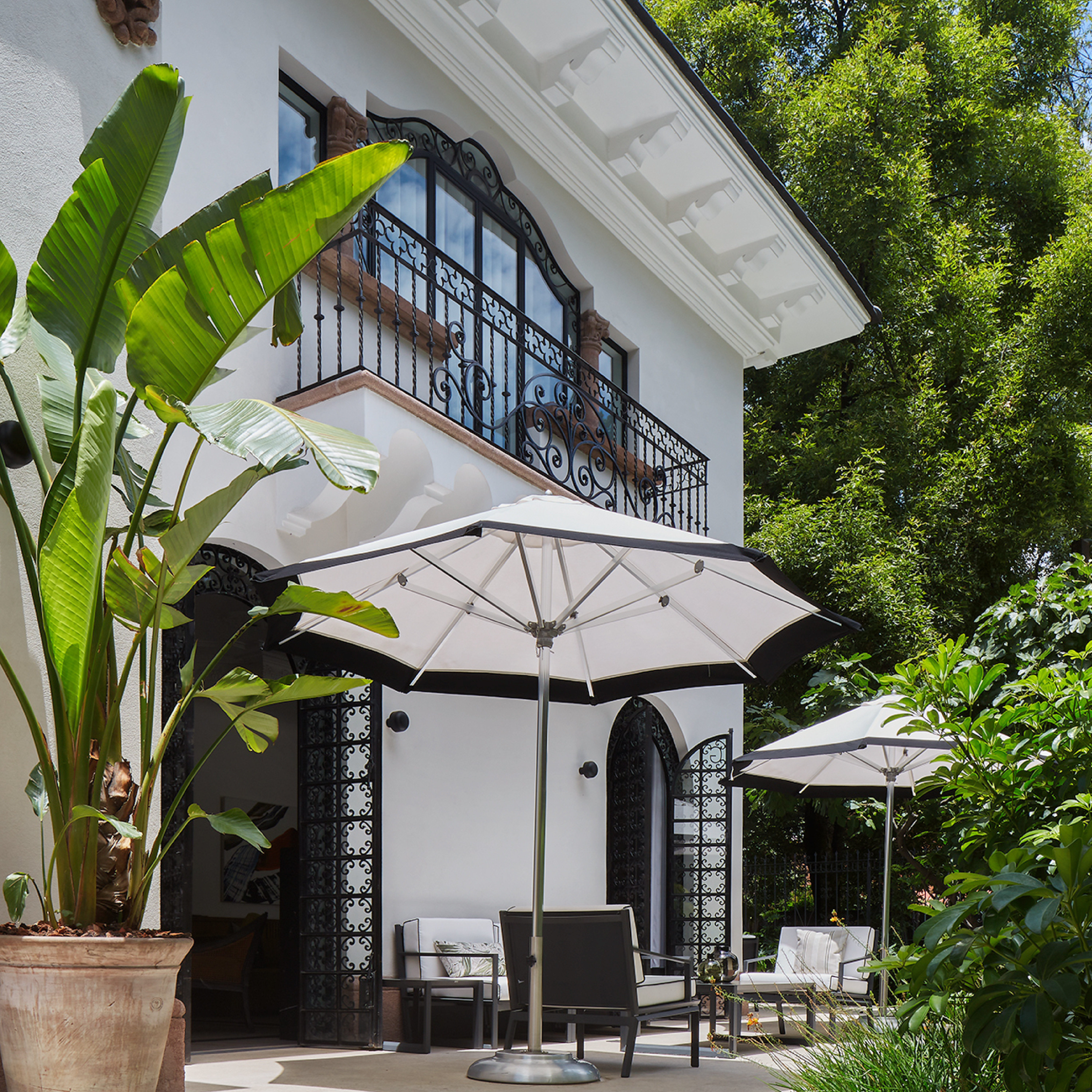 Casa Polanco 1/50
