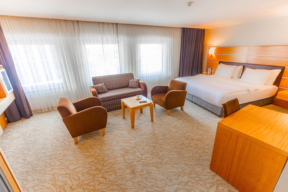 Ankara Plaza Hotel 47/66
