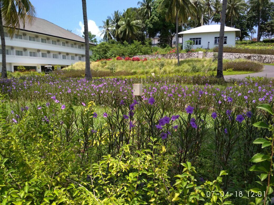 Paradise Hotel Golf and Resort 38/49