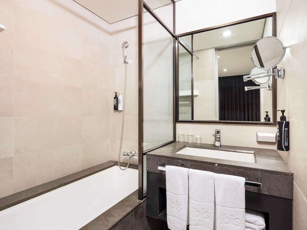 Ibis Ambassador Seoul Myeongdong 65/66