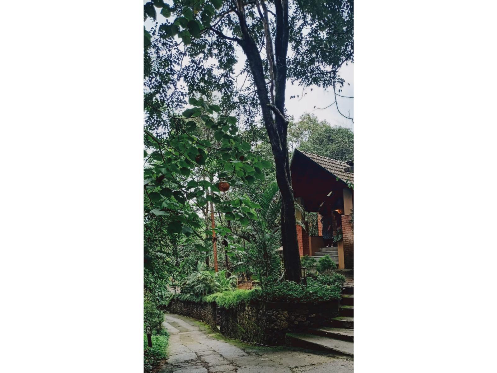 Silent Creek Resort 22/24