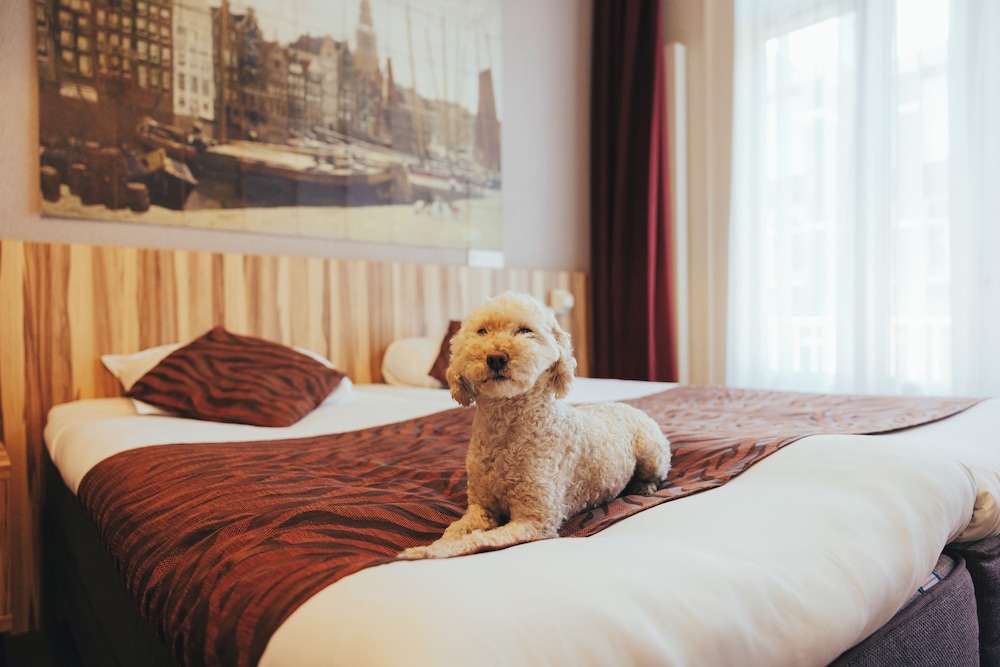 Hotel Asterisk a family run hotel 18/50