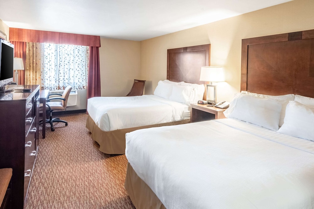 Holiday Inn Friso by IHG 25/68
