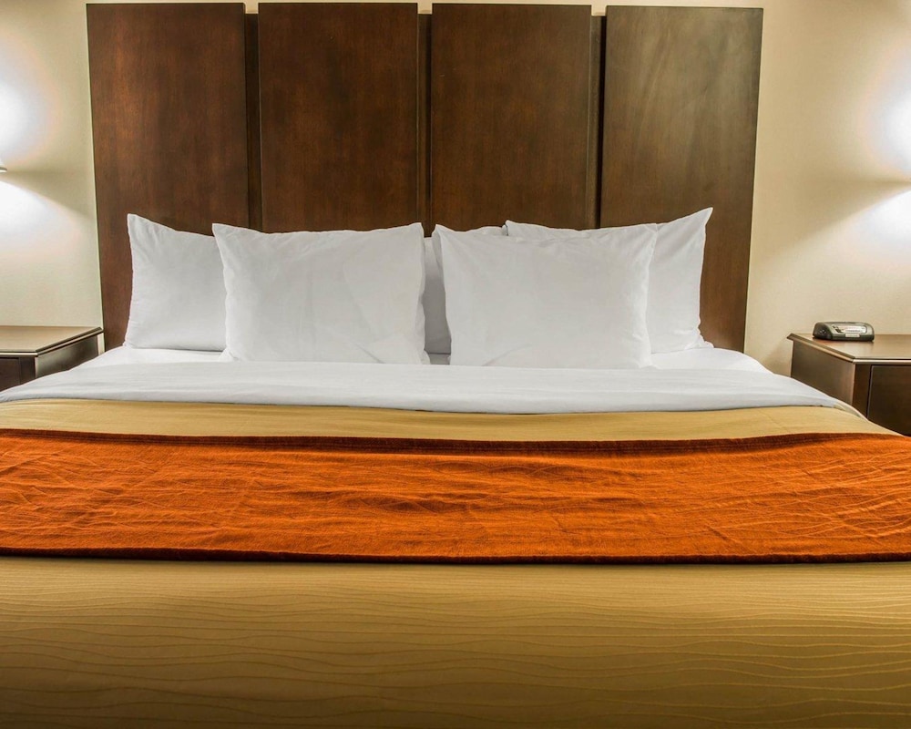 Comfort Inn and Suites Fenton MI 21/50