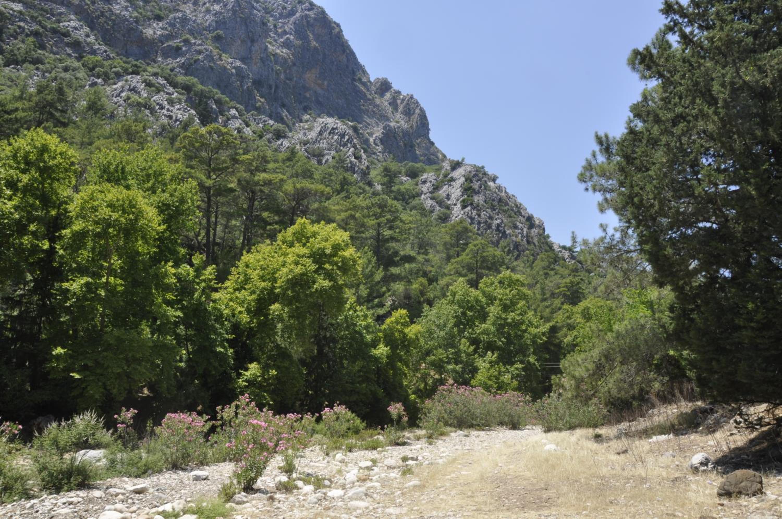 Canario Pension Bungalow 27/50