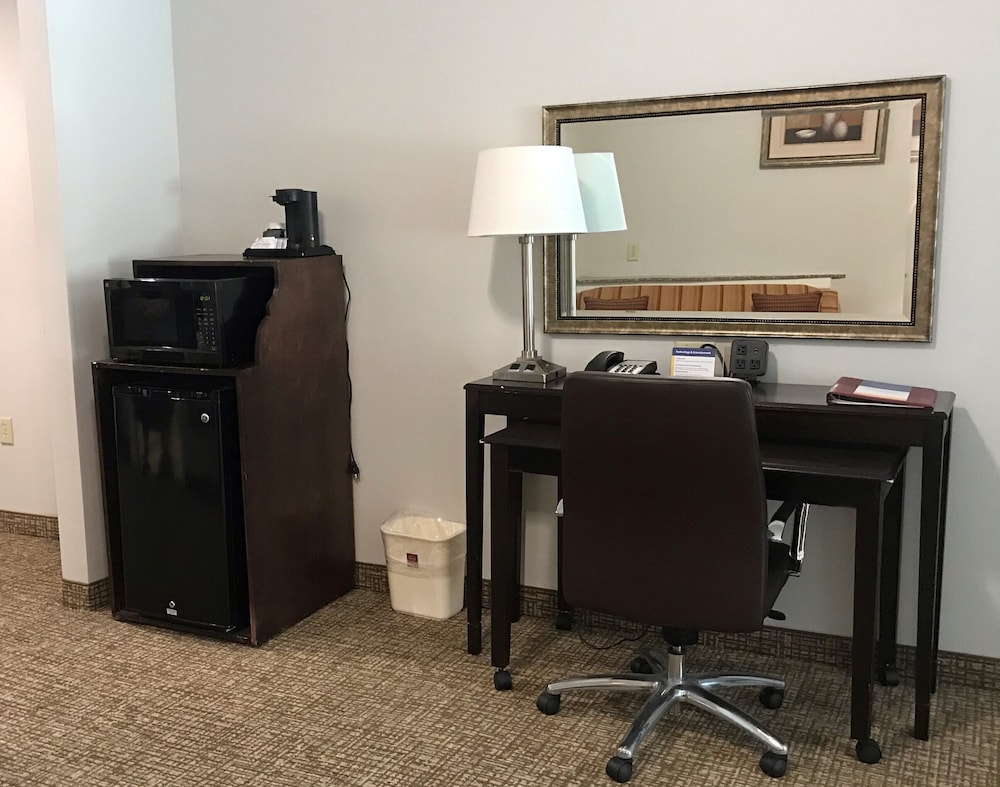 Comfort Suites Bay City 27/34