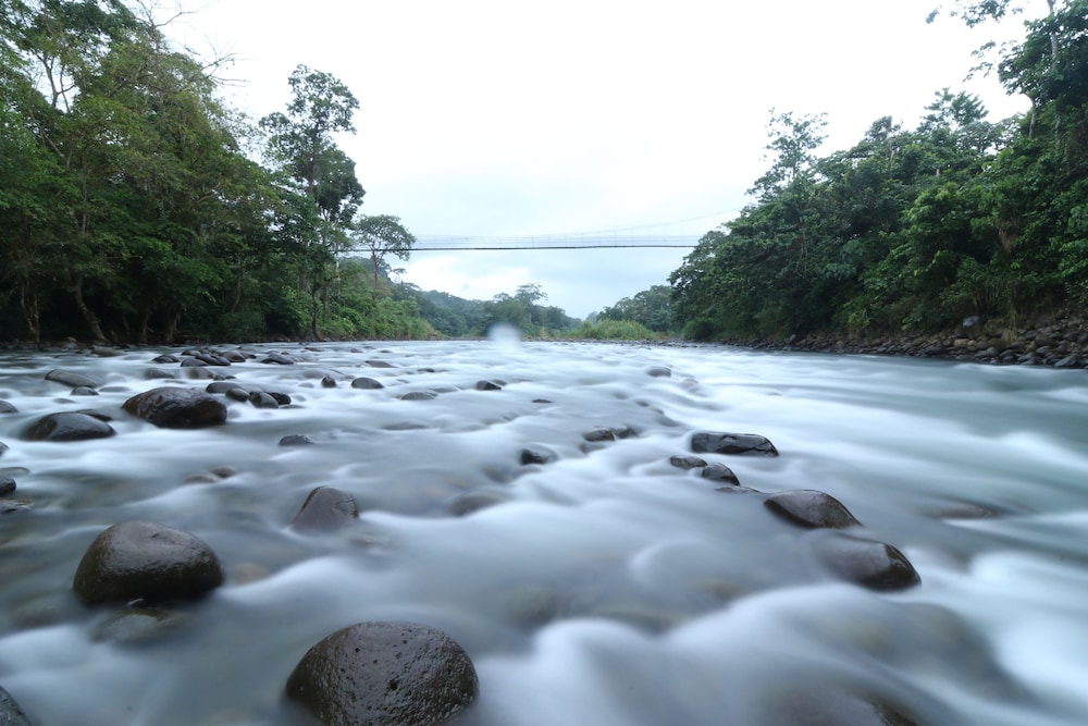 Tirimbina Rainforest Lodge 40/50