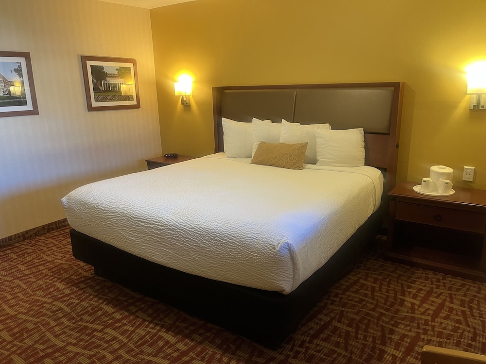 Basic, Single, King Bed