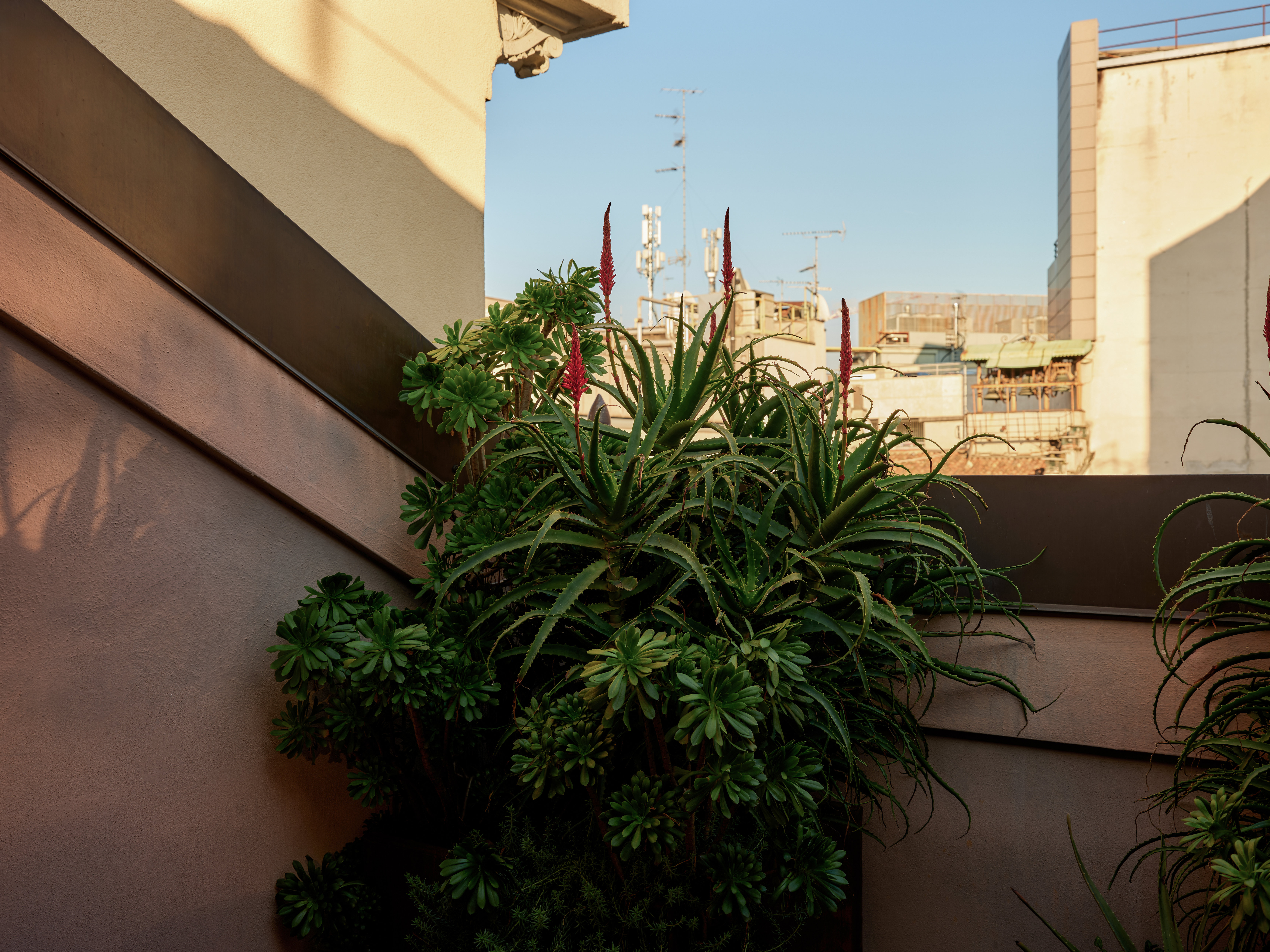 STRAF, Milan, a Member of Design Hotels 4/25