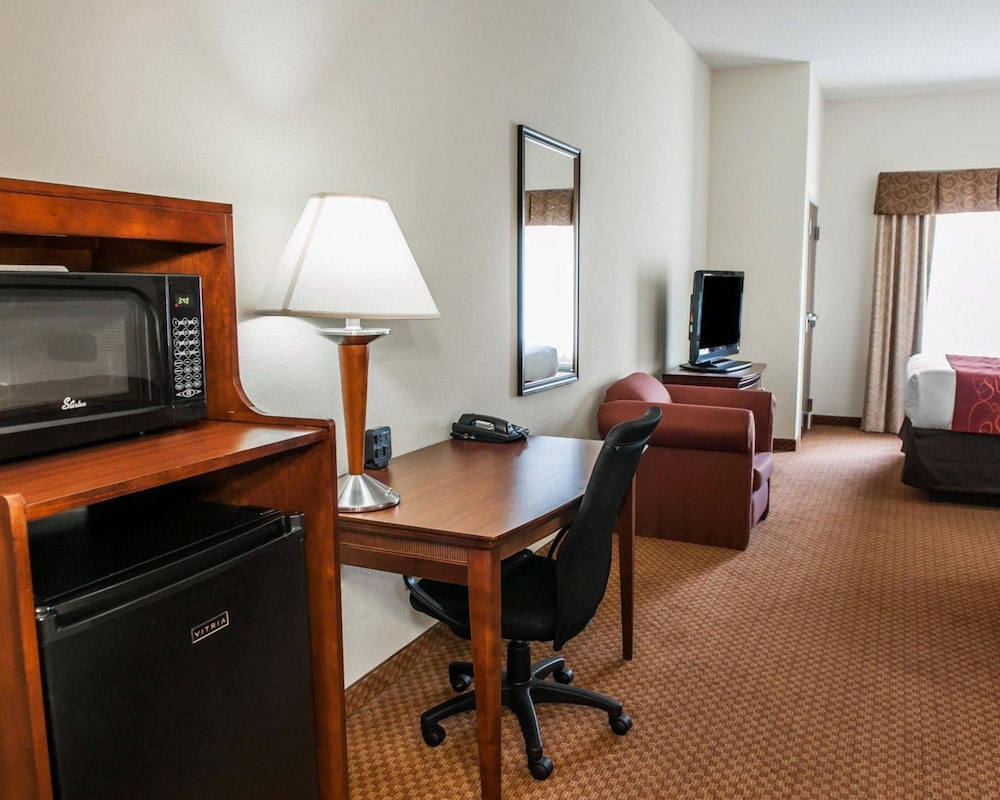 Comfort Suites near Indianapolis Airport 44/51