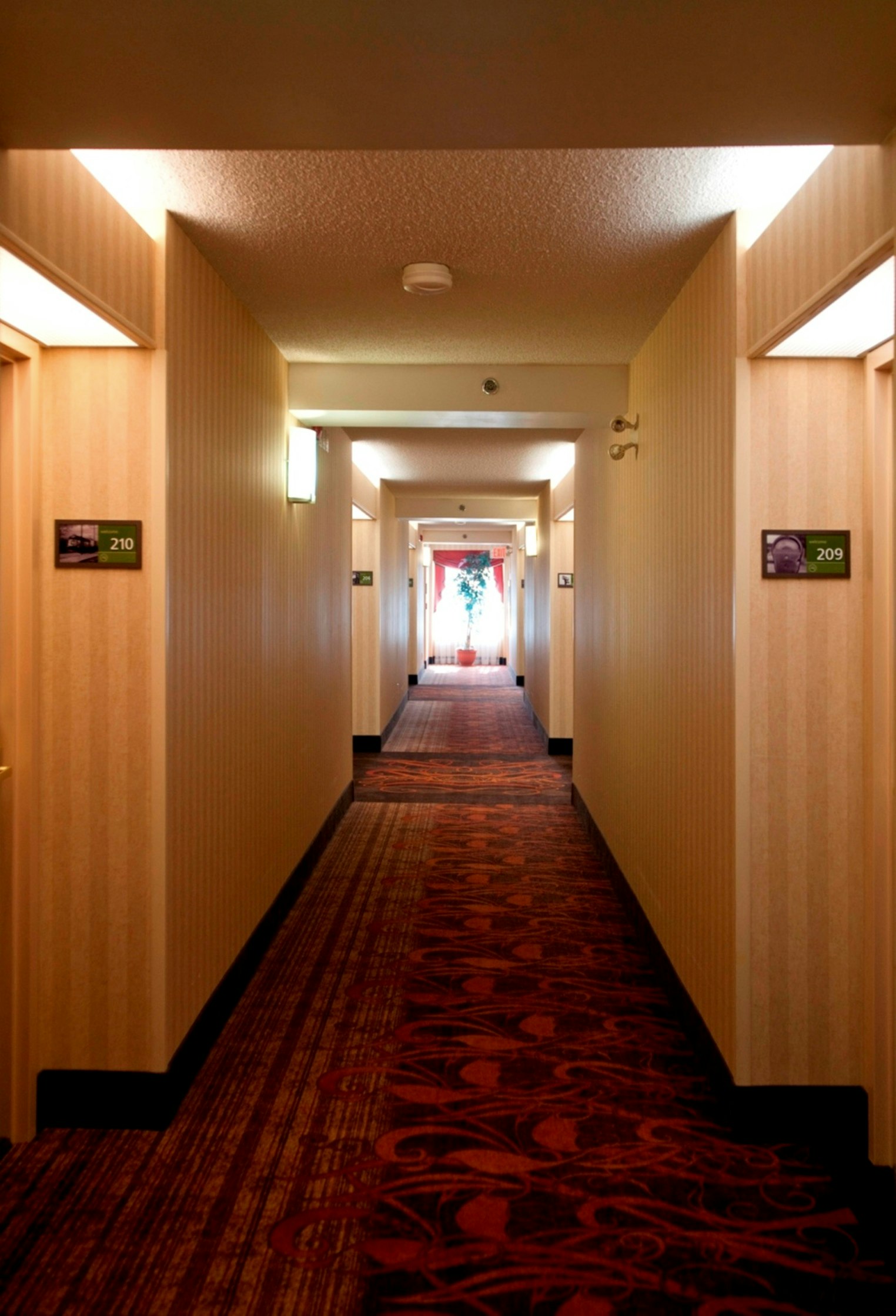 Hampton Inn By Hilton Toronto Mississauga West 21/50