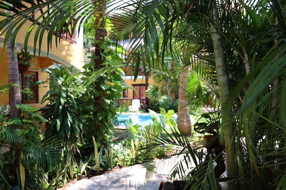 Playalingua Del Caribe 34/50