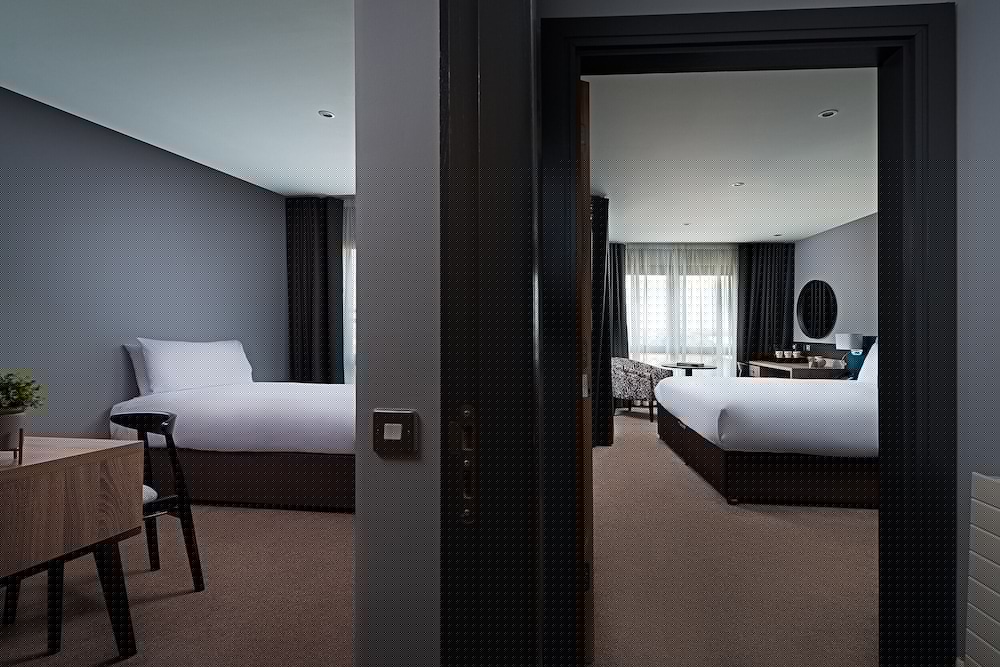 The George Limerick Hotel 18/58