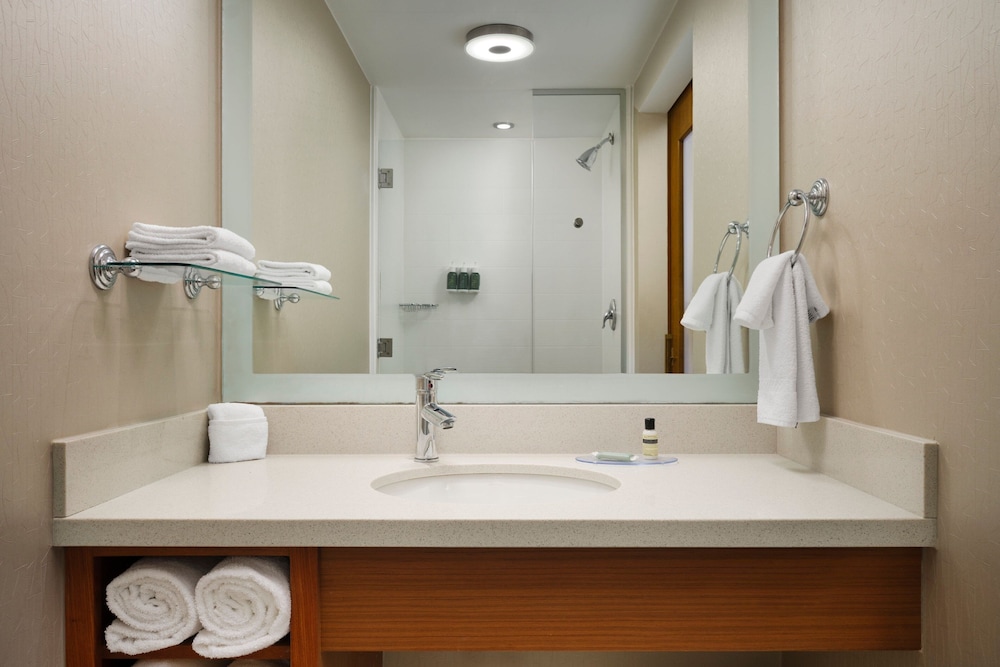 Springhill Suites By Marriott Pittsburgh Mt Lebanon 21/44