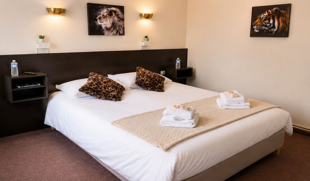 HOTEL LE LION D'OR 12/50