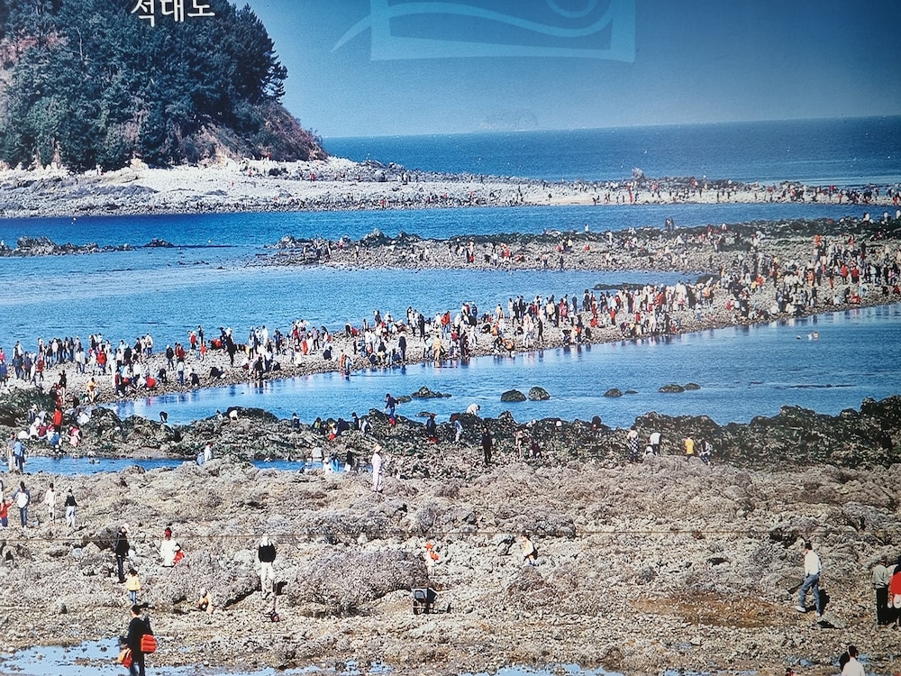 Taean In You Pension 35/50