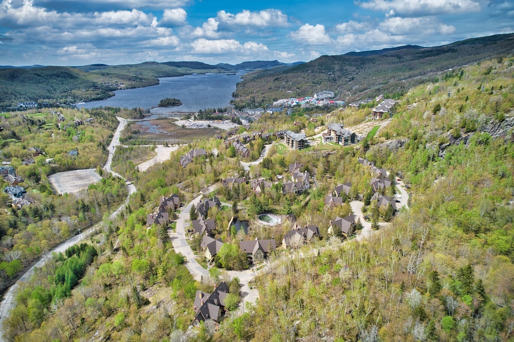 Le Plateau - Rvmt 36/50