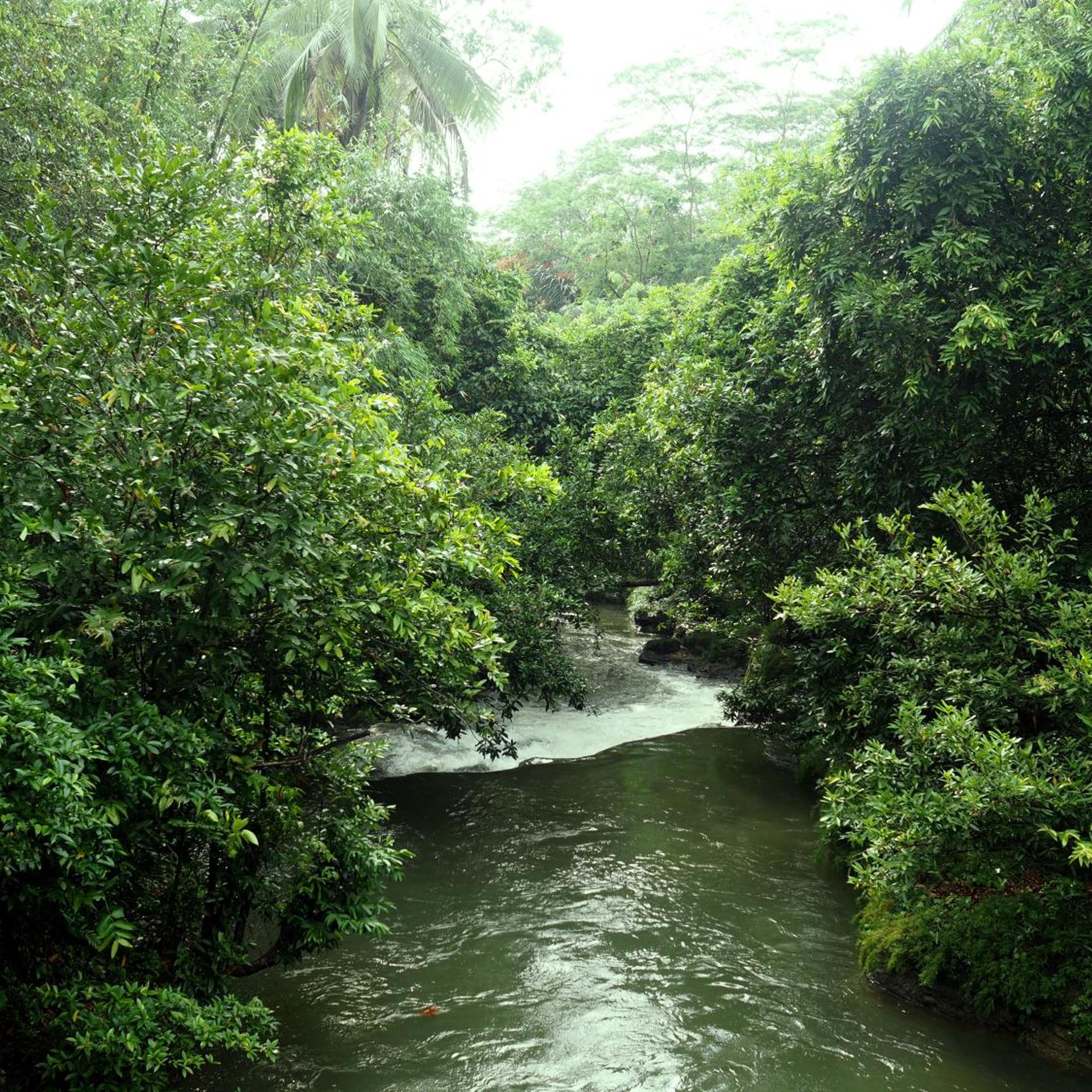 HAU Eco Lodges Citumang 43/50