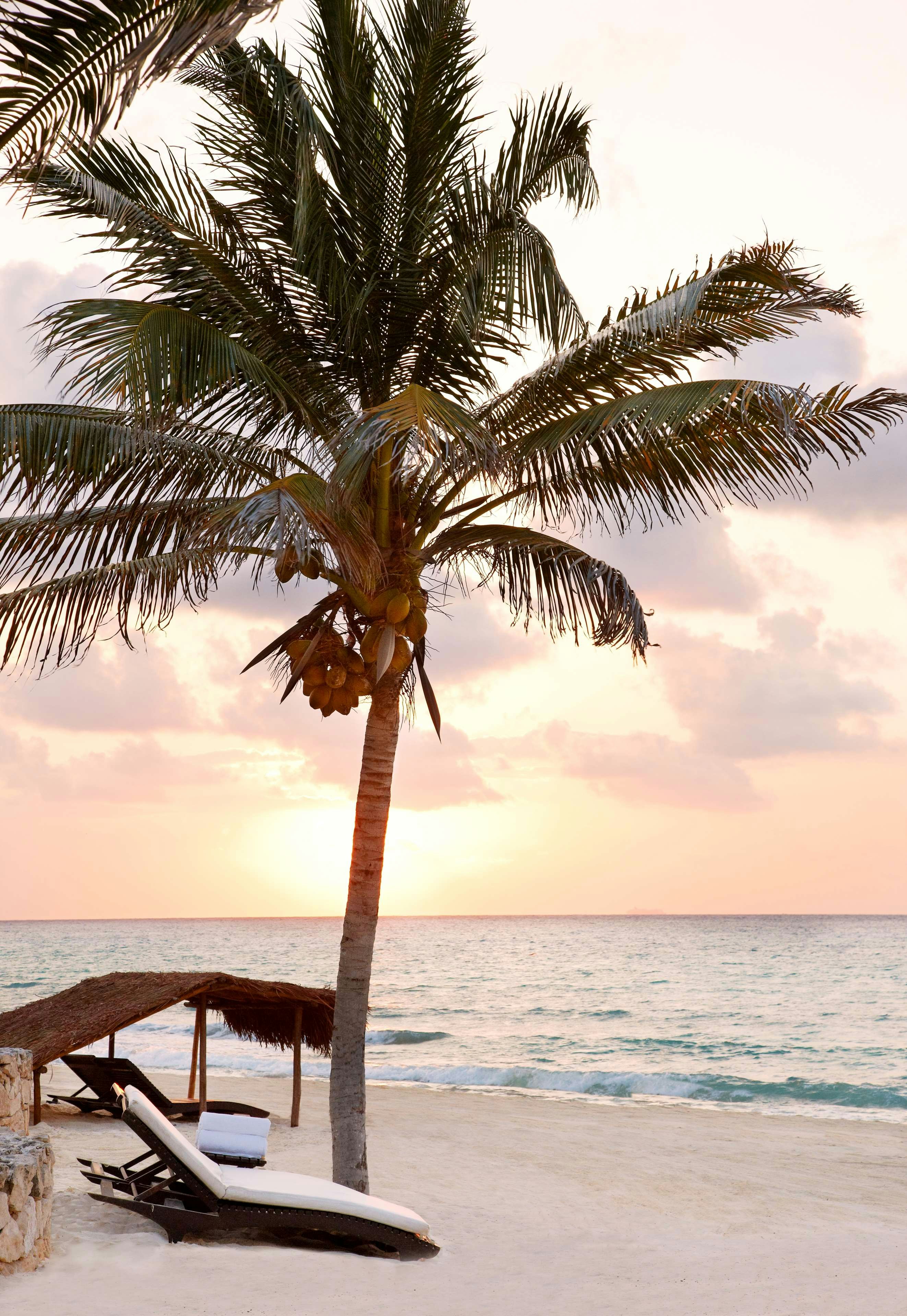 Viceroy Riviera Maya, a Luxury Villa Resort - Adults Only 71/80