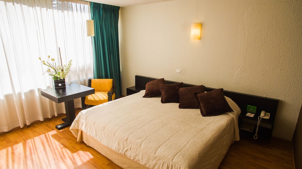 Gran Xalapa Hotel 7/41