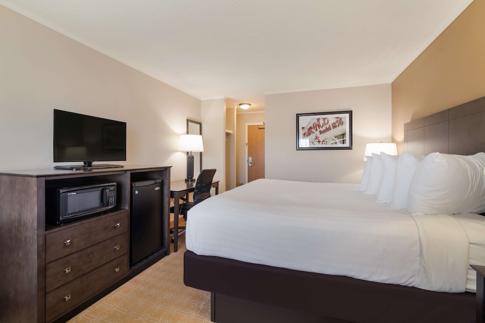 STANDARD, KING BED