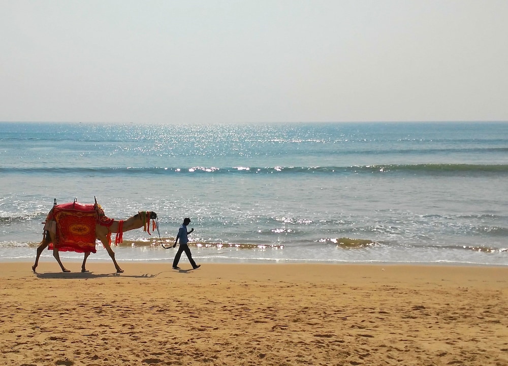 Om Leisure Resort Puri 36/46