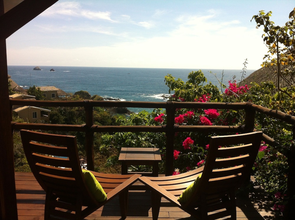 Zoa Hotel 8/67