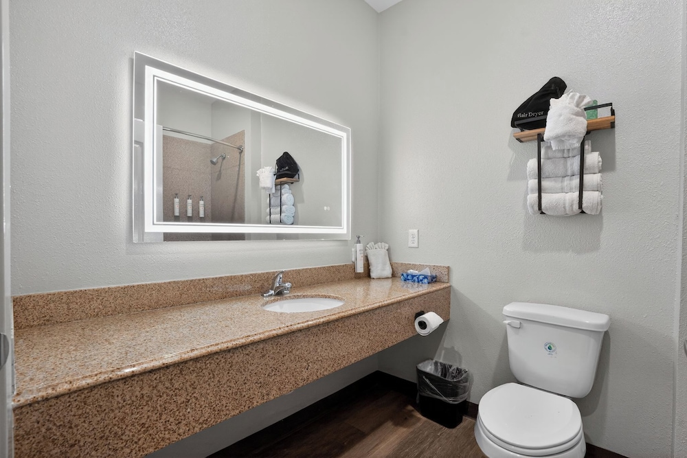 Sonesta Essential Hotel Houston-I-45 Spring 40/47