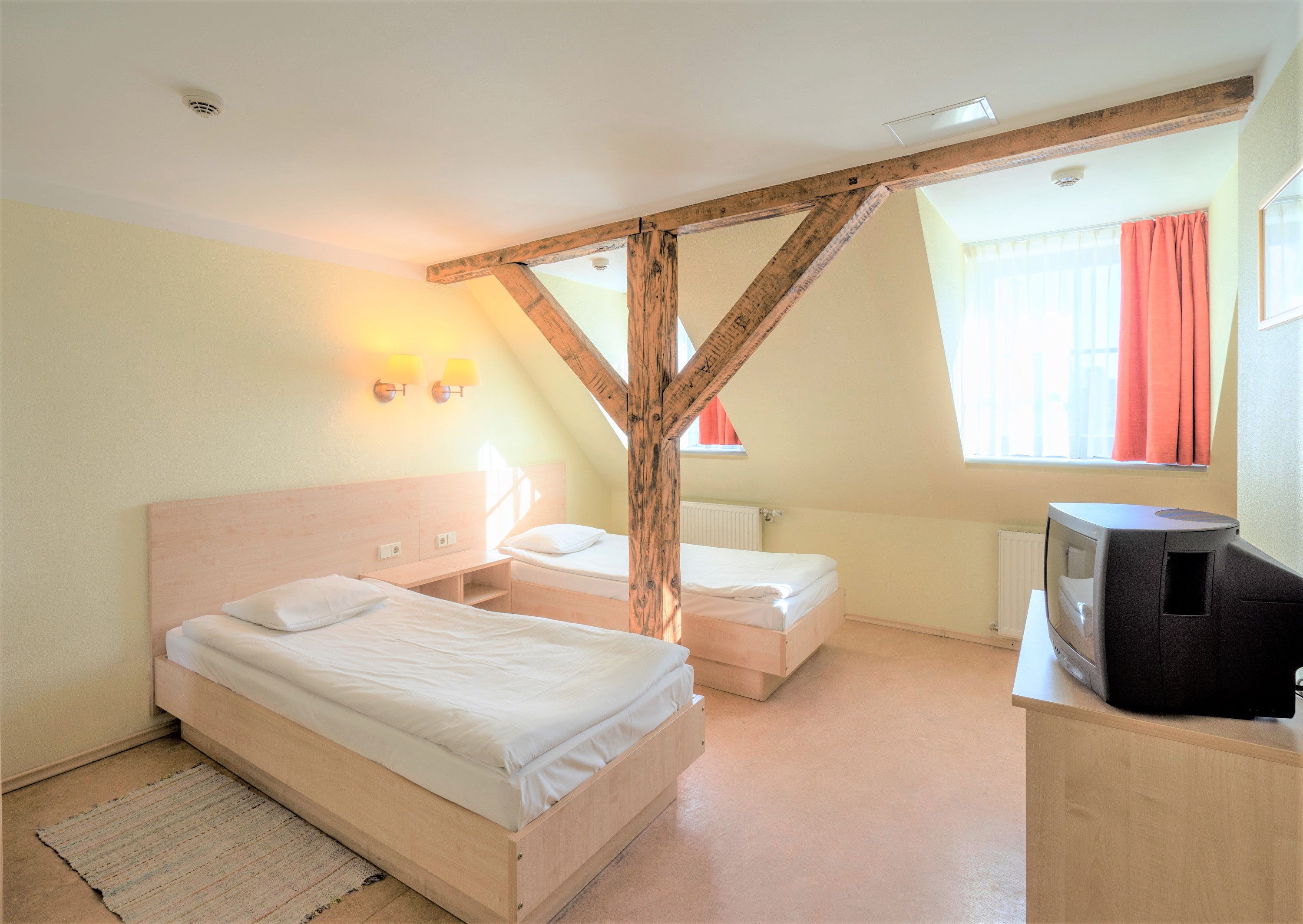 standard double / twin room for single use