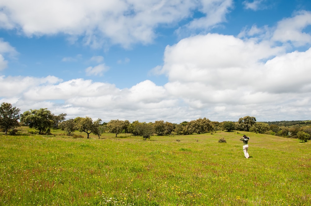 Casas de Romaria of Brotas Mora 25/33