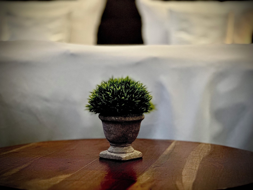 Privathotel Riesenbeck 25/50